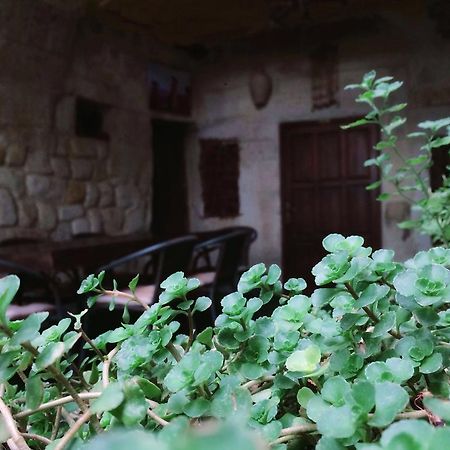 Naturels Cave House Ürgüp Exteriér fotografie